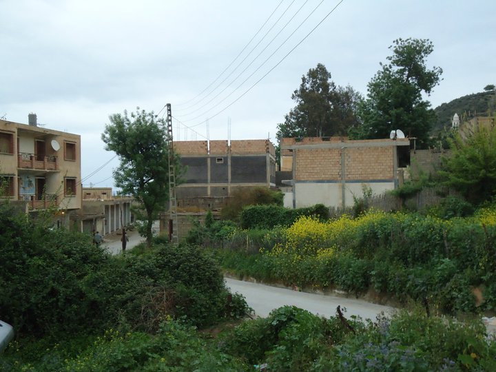 Café l'houcine Ouyoucef