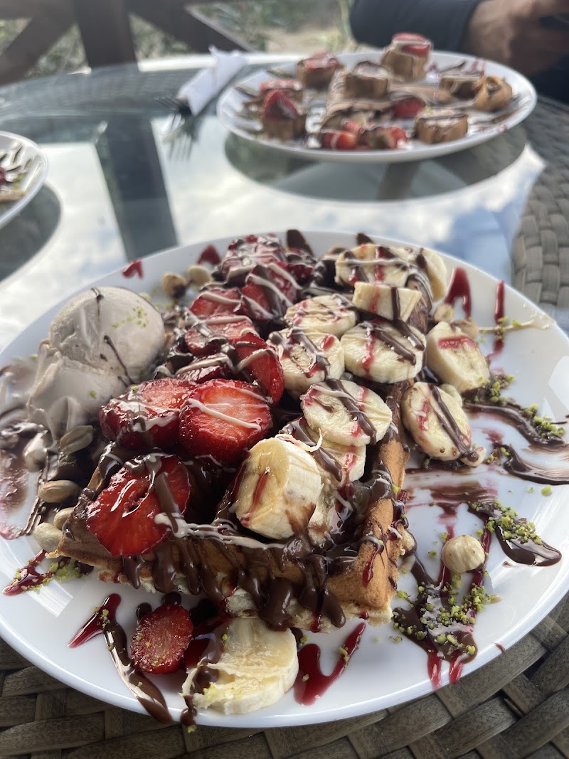 Igloo gelato