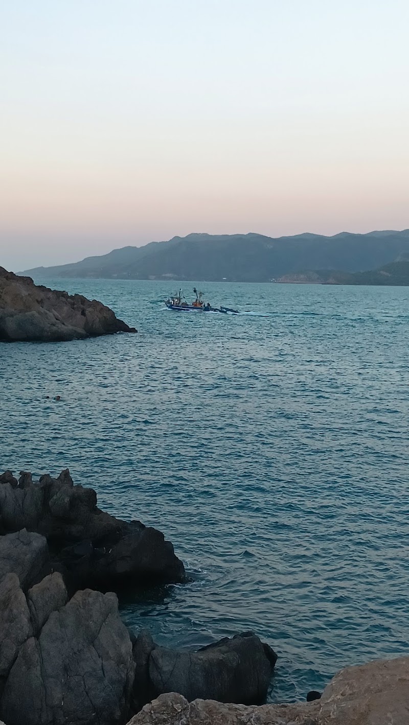 Ziama Beach Restaurant
