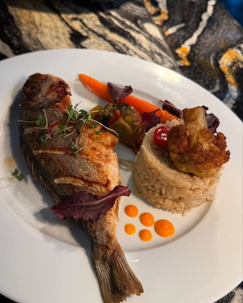 Perfecto Gastro